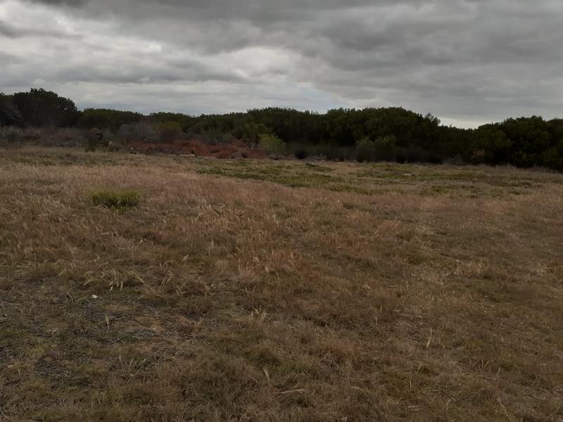 1 Bedroom Property for Sale in Riversdale Western Cape